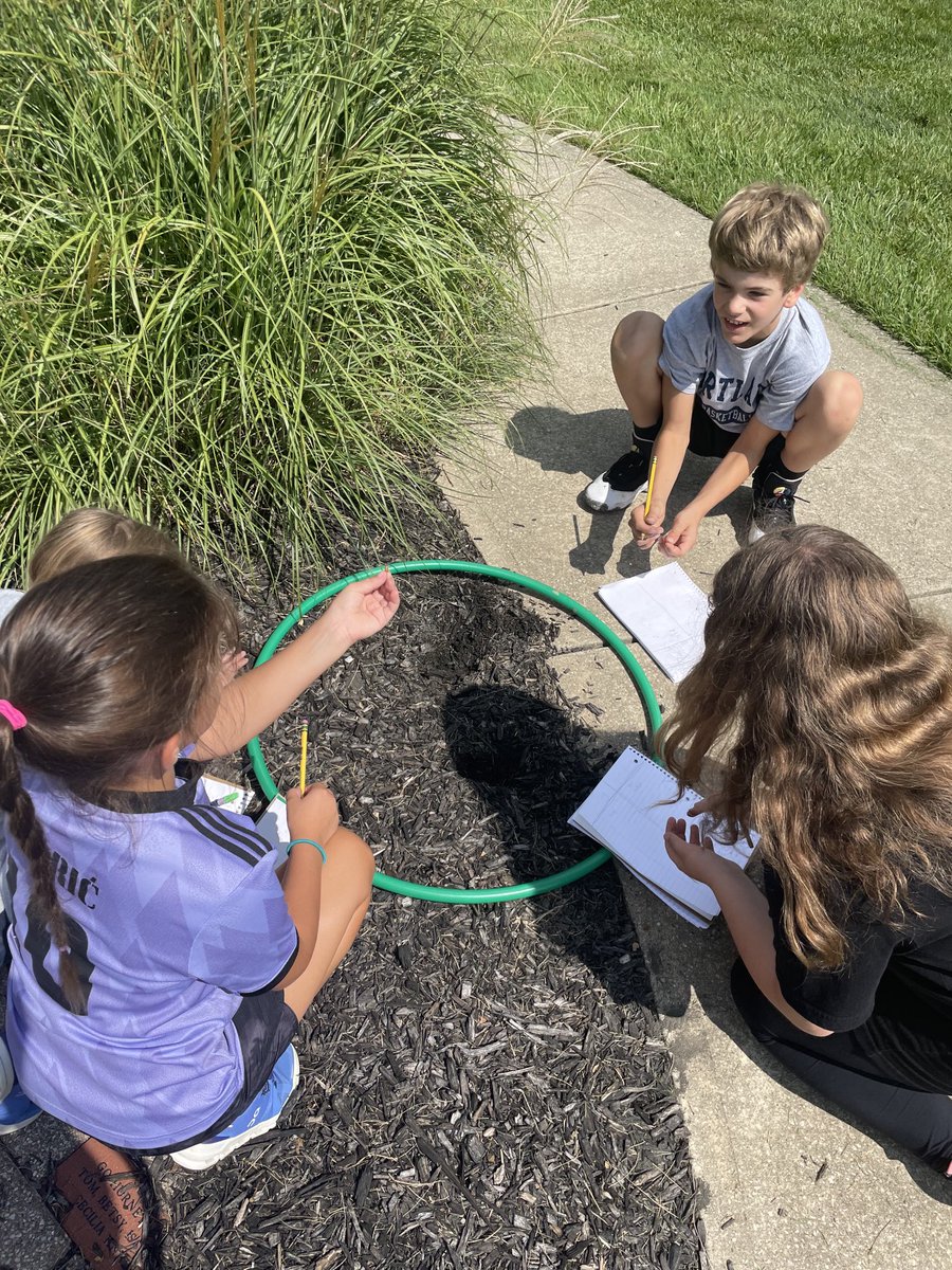 heldshornets's tweet photo. Identifying abiotic/biotic objects in our hula hoop ecosystem.#Hornetpride https://t.co/A55mio5CRn