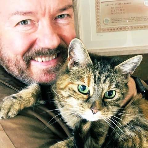 #Rickygervais what song would you dedicate to @PickliciousF ? What song would everyone who sees this dedicate to their #Cat or #Dog or to any #Animal they have and love dearly?