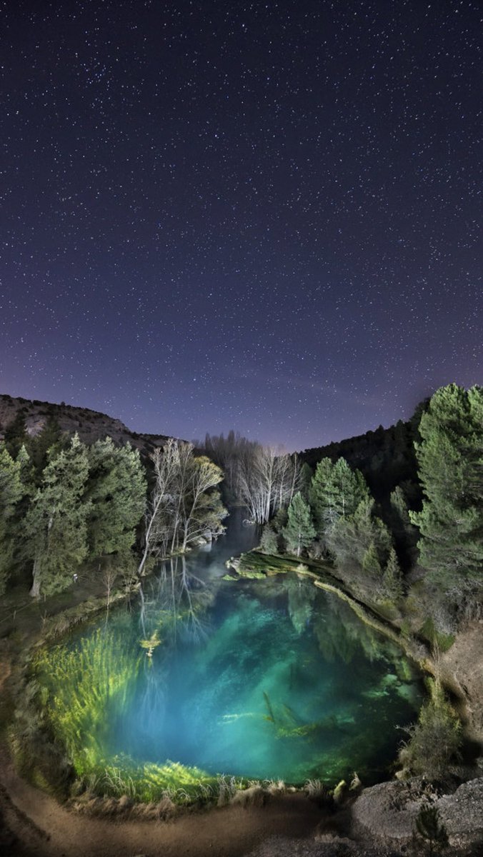 Sensor Natural tweet media