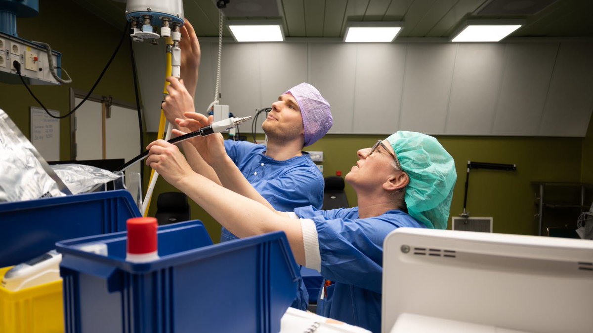 Region Norrbotten tweet media