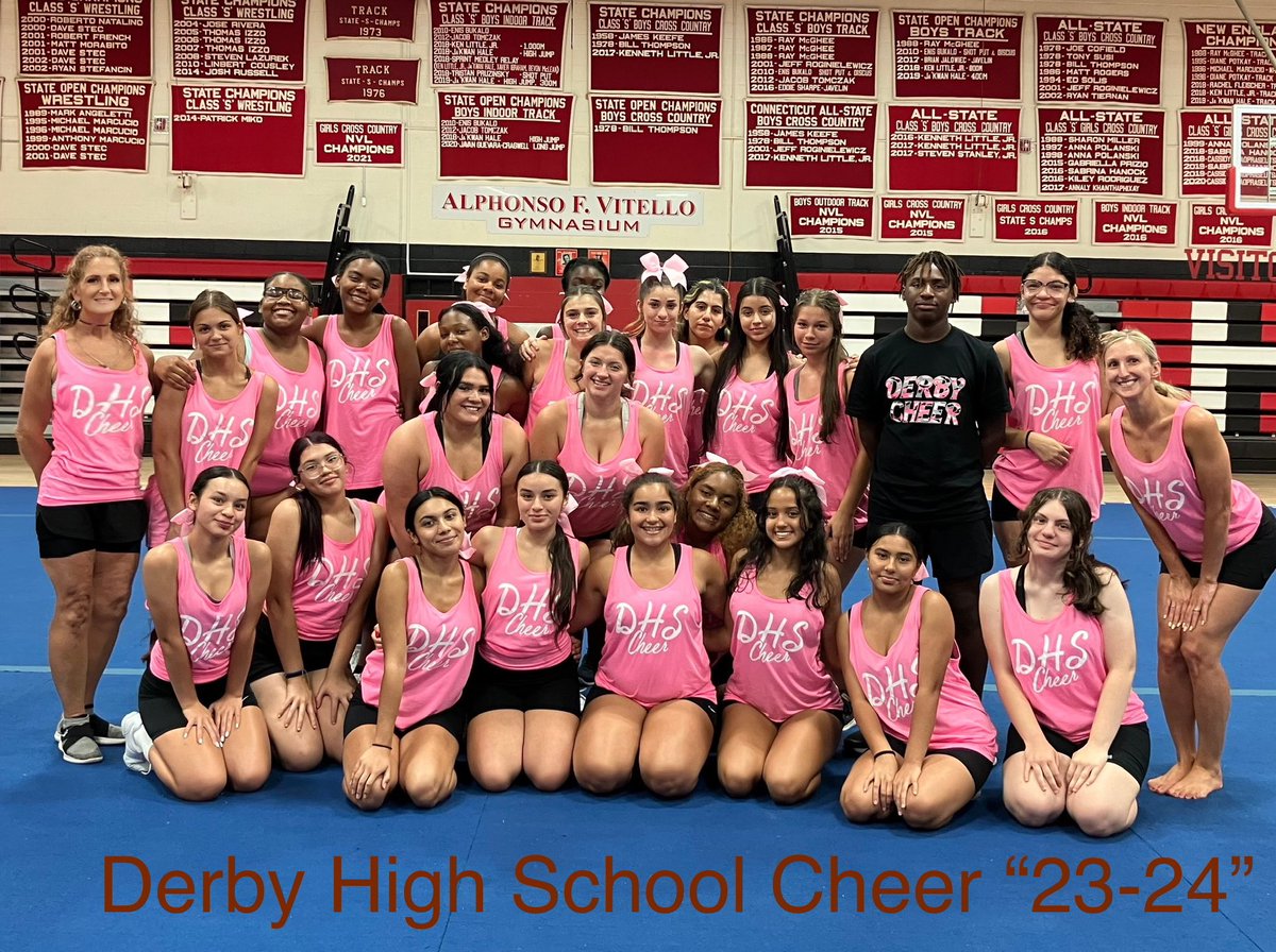 DHS CHEERLEADERS
#hitthemathard
#soon2Bbackontop