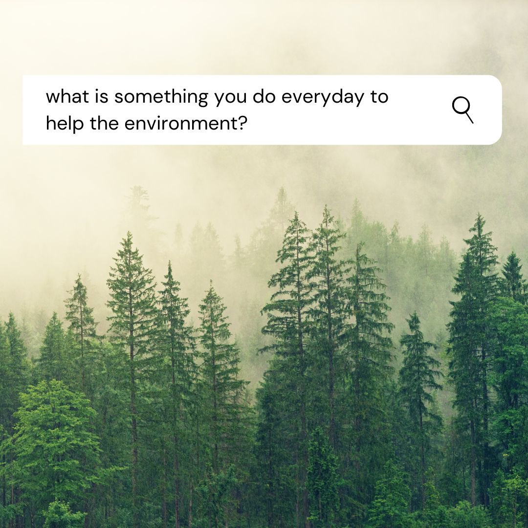 What is something you do everyday to help the environment?

GreenLiving #PlasticFree #zerowaste #canada #climatechange #ClimateAction #carbonfootprint #circulareconomy #ActOnClimate #GlobalWarming #Recycle#Reuse#Reduce#OurPlanetOurResponsibility #BeTheChange#SustainableLiving#