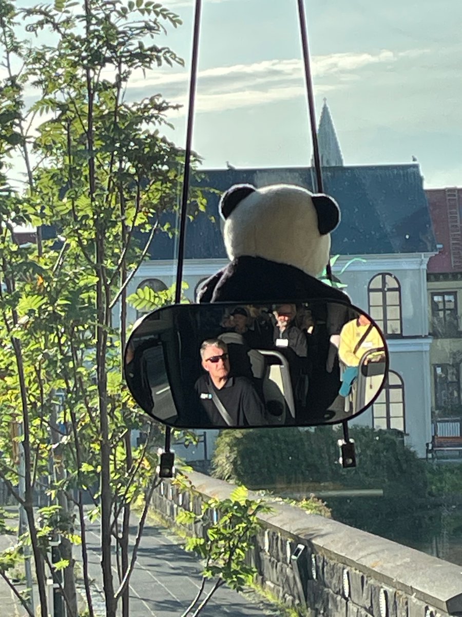I’ve been quiet lately because I’m in Iceland! And they love pandas here. Even our driver for the tour.