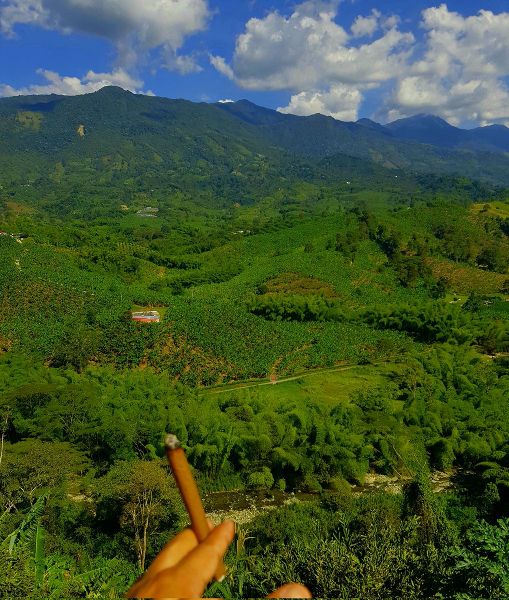 melachupa46's tweet image. Un poco de aire y humo. #nature #stuner