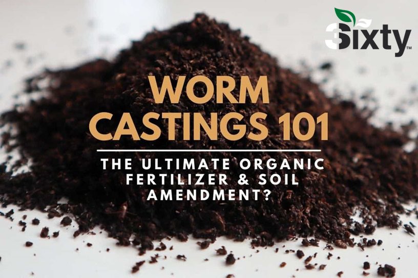 🪱 Earthworm Castings: Also known as "black gold," these are the rich, nutrient-packed waste produced by earthworms as they break down organic matter. Castings are like a superfood for plants, containing essential nutrients, beneficial microorganisms, and enzymes.