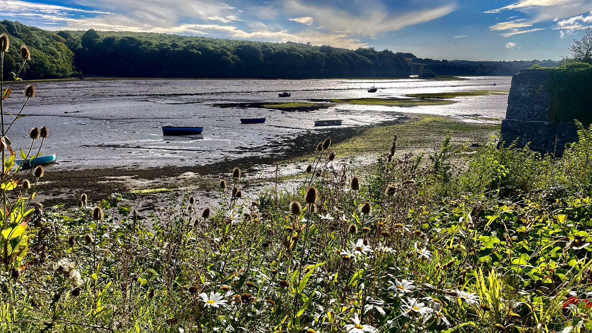 Paul Bryer (@paulbcornwall) on Twitter photo “Give us today, O God,
a glad heart and a clear conscience,
that when we come to this day’s end
we may rest in peace with Christ our Lord.”
Last tweet from the creek for a couple of weeks..
#EveningPrayer #Devoran #Cornwall <a href="/DioTruro/">Diocese of Truro</a> <a href="/churchofengland/">The Church of England</a> “Give us today, O God,
a glad heart and a clear conscience,
that when we come to this day’s end
we may rest in peace with Christ our Lord.”
Last tweet from the creek for a couple of weeks..
#EveningPrayer #Devoran #Cornwall <a href="/DioTruro/">Diocese of Truro</a> <a href="/churchofengland/">The Church of England</a>