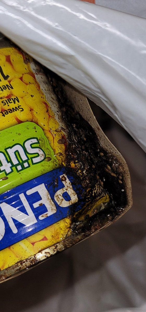 aykutterzi34's tweet photo. @migros @Migros_Turkiye @MigrosHizmet  Bunun neden indirime girdiğini anlamalıydım, iğrenç kokuyu 2 saat nereden geldigini anlamaya çalıştık poşette ne varsa çöpe attım kurtanmış... kontrol etmiyormusunuz raflari düzeltirken aldığım ne varsa o poşette çöpe attım rezalet.. https://t.co/XCL71fcZBx