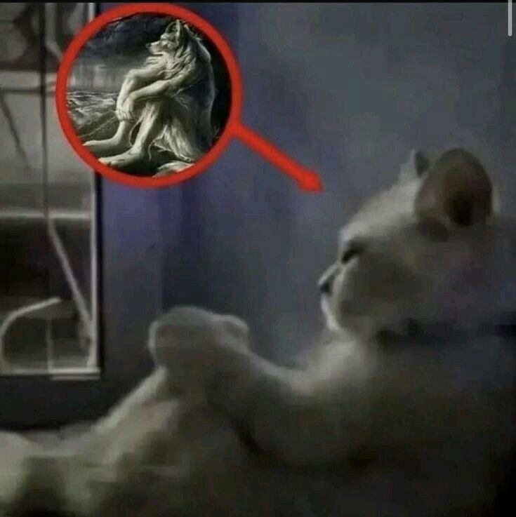 creo que me gusta un varon