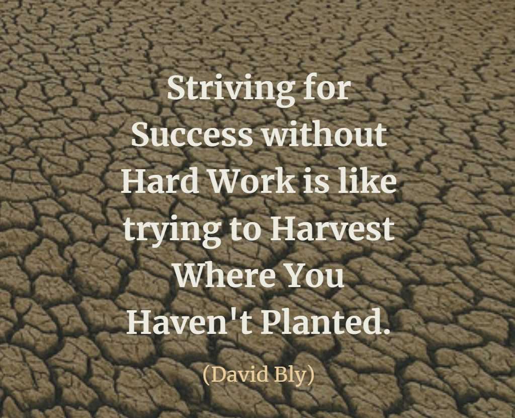 No one deserves success more than the people willing to work their butts off to get it.