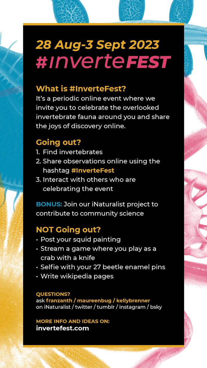 InverteFest's tweet image. #InverteFest IS UPON US!  Today through Sunday we want to see your invertebrates! 

Share them with #InverteFest for everyone to see. Go find some bugs, draw some inverts, tell us some interesting facts or write a song.    

More info: metrofieldguide.com/invertefest/