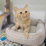 Photo by Fort McMurray SPCA (@FMSPCA)