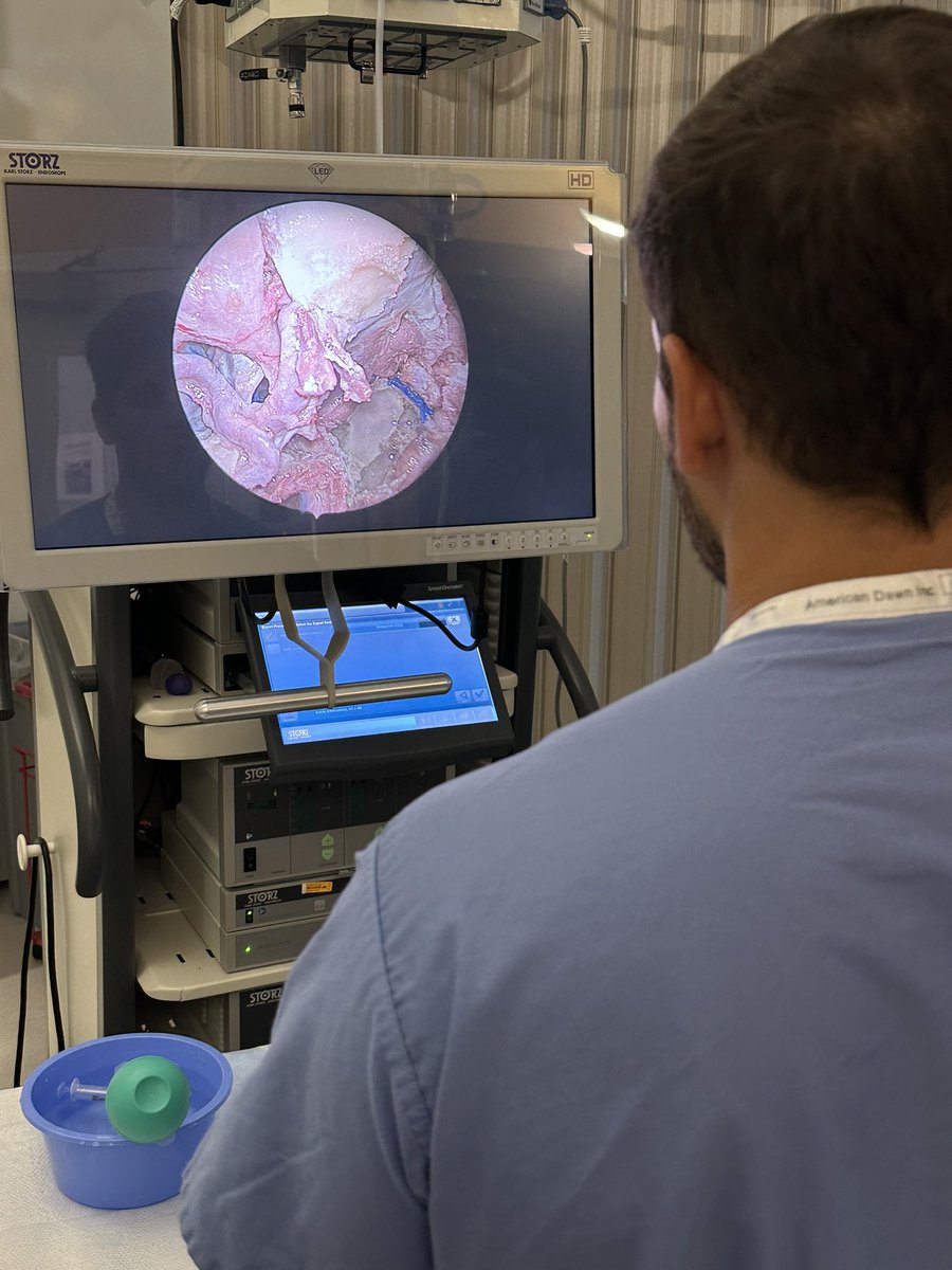 Joao Paulo Almeida (@joao_p_almeida) on Twitter photo New week and new developments! Great to see the beautiful work being developed by our team at the Sim Center!
And getting ready for the big opening of our new Skull Base lab <a href="/MayoClinic/">Mayo Clinic</a> in Florida!
<a href="/MayoClinicNeuro/">Mayo Clinic Neuro</a> <a href="/MayoClinicENT/">Mayo Clinic ENT</a> <a href="/DoctorQMd/">Dr. Alfredo Quiñones-Hinojosa</a> <a href="/JeffreyJanusMD/">Jeffrey Janus, MD</a> <a href="/NASBSorg/">NASBS</a> <a href="/flanc_la/">FLANC</a> New week and new developments! Great to see the beautiful work being developed by our team at the Sim Center!
And getting ready for the big opening of our new Skull Base lab <a href="/MayoClinic/">Mayo Clinic</a> in Florida!
<a href="/MayoClinicNeuro/">Mayo Clinic Neuro</a> <a href="/MayoClinicENT/">Mayo Clinic ENT</a> <a href="/DoctorQMd/">Dr. Alfredo Quiñones-Hinojosa</a> <a href="/JeffreyJanusMD/">Jeffrey Janus, MD</a> <a href="/NASBSorg/">NASBS</a> <a href="/flanc_la/">FLANC</a>