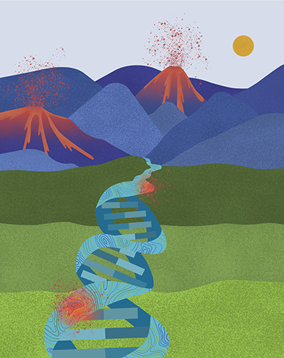 UCSD Moores Cancer Center- Clinical Trials Office (@ucsdcancercto) on Twitter photo Dr. Ludmil Alexandrov and research team are #DeliveringDiscoveries at <a href="/UCSDCancer/">UC San Diego Health Moores Cancer Center</a>! They have linked topography of the human genome with the presence of mutations in human cancer. Read More: today.ucsd.edu/story/topograp… Dr. Ludmil Alexandrov and research team are #DeliveringDiscoveries at <a href="/UCSDCancer/">UC San Diego Health Moores Cancer Center</a>! They have linked topography of the human genome with the presence of mutations in human cancer. Read More: today.ucsd.edu/story/topograp…