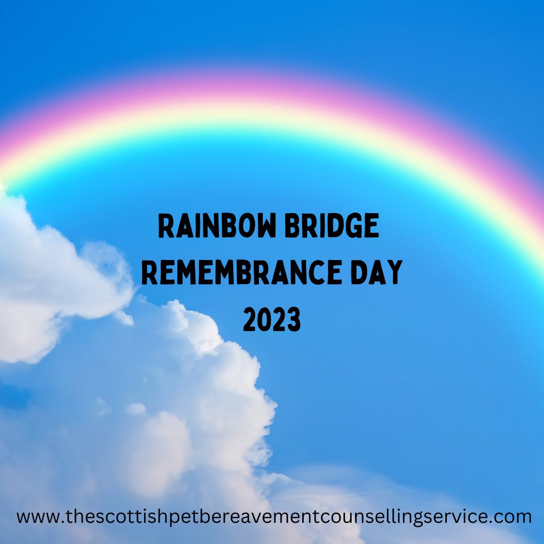 My thoughts are with those grieving their beloved companion animals today. Xx 🌈💔🐾

#petloss #petbereavement #rainbowbridgeremembranceday