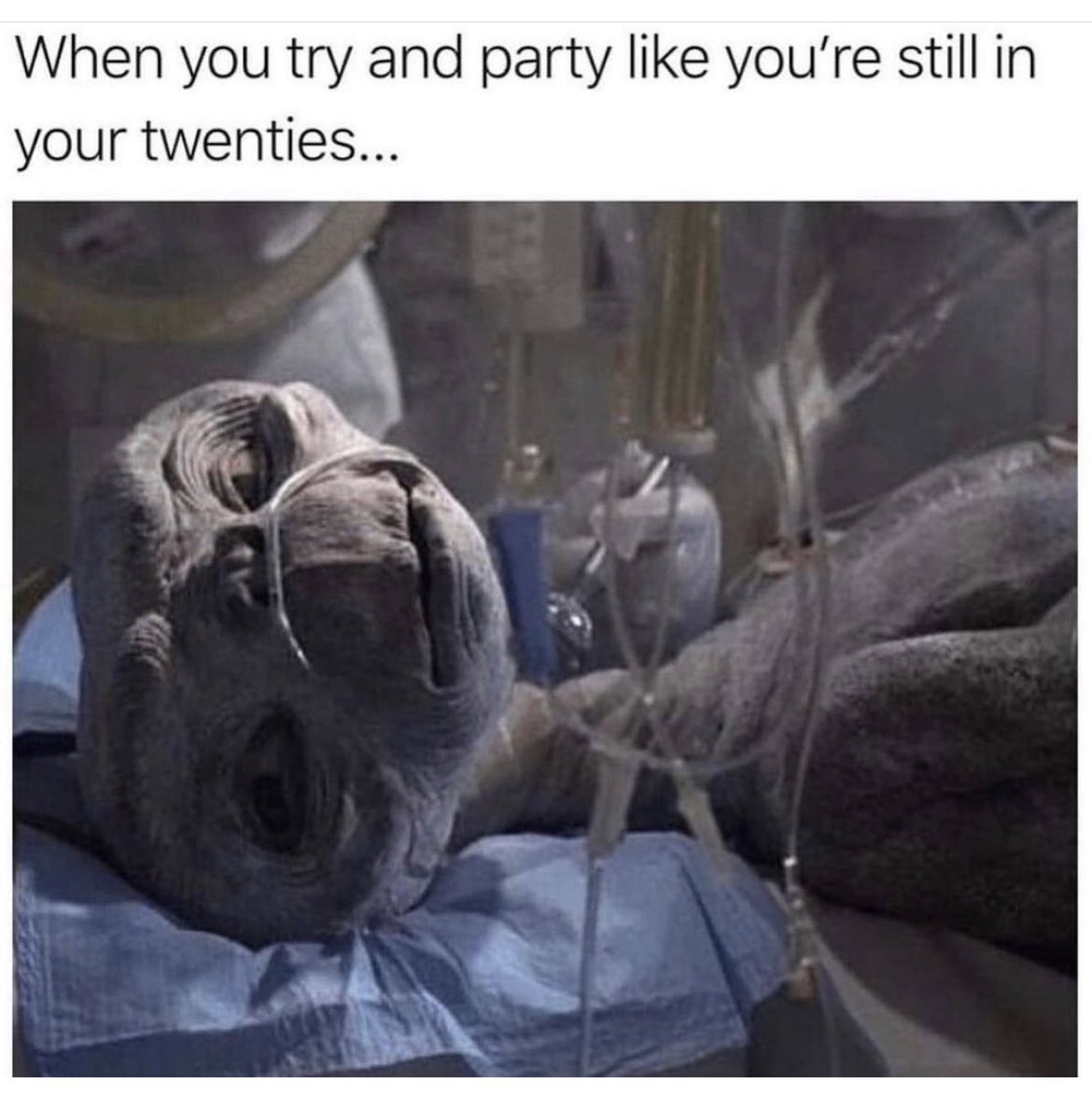 Colibridelabatalla (@colibribatalla) on Twitter photo 