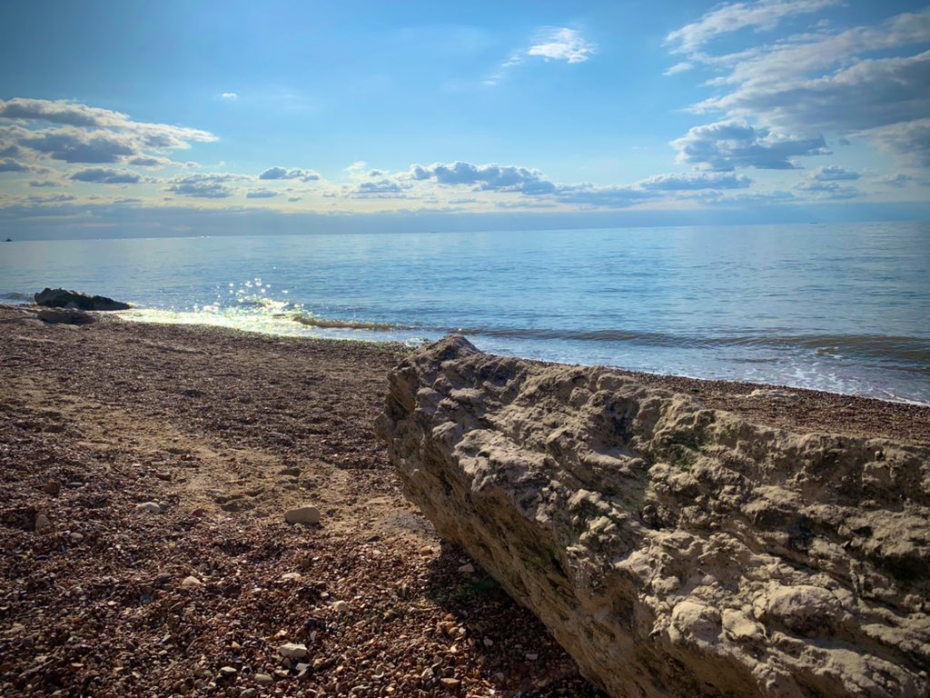 Simon Gabbitas tweet media