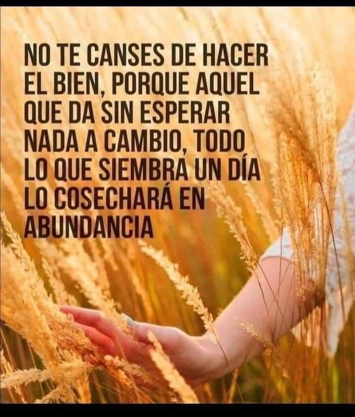 adrianarojasMor's tweet photo. 28/08/23 https://t.co/c7WaHwQ4QN