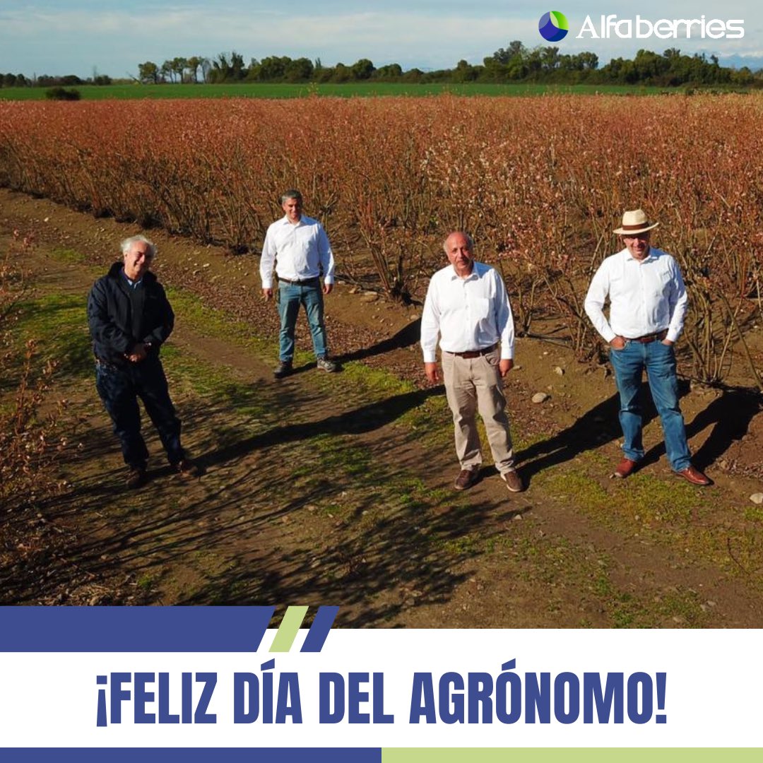 alfaberries's tweet photo. Hoy Exportadora Alfaberries saluda a todos los Ingenieros Agrónomos en su día 🤝

Gracias por su gran aporte en la agricultura chilena 🇨🇱 https://t.co/3tTUVUMI8i