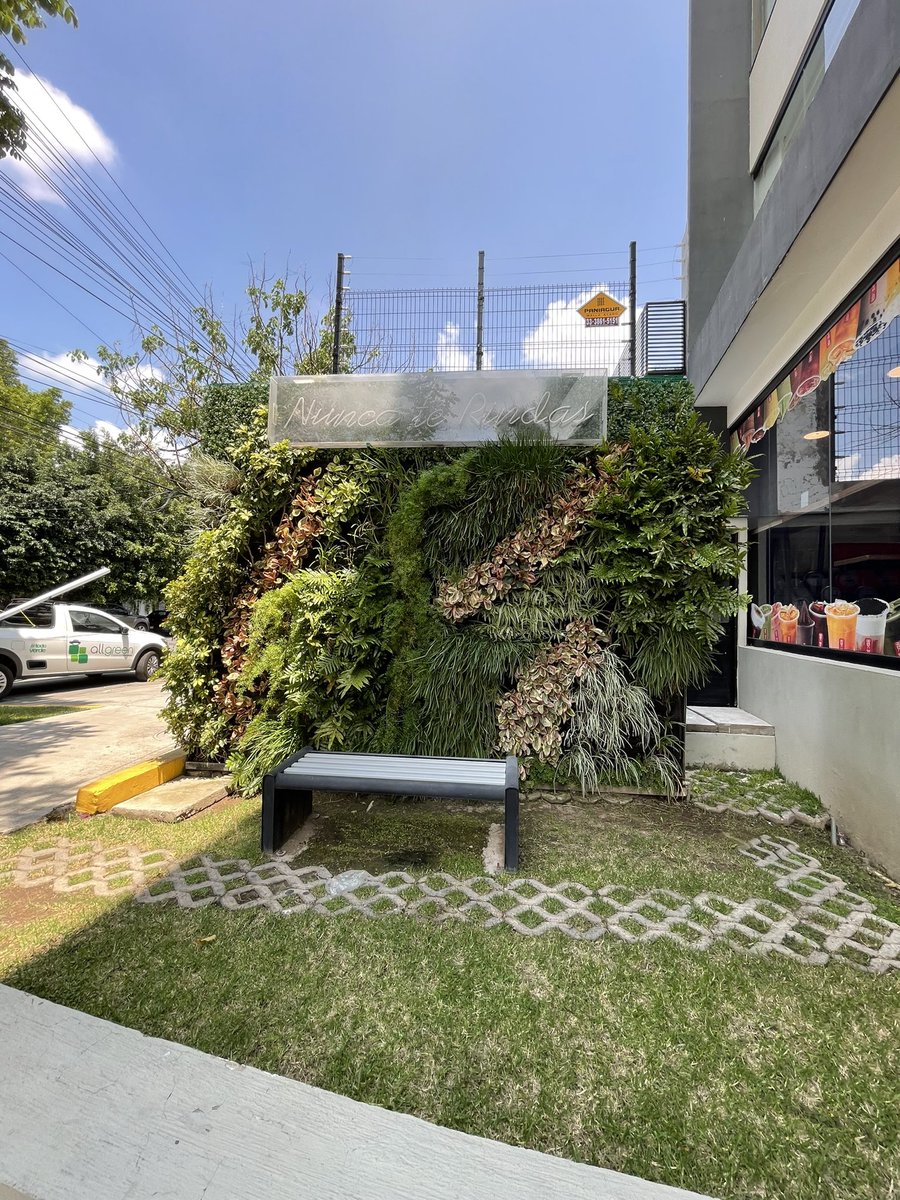 All Green tweet media