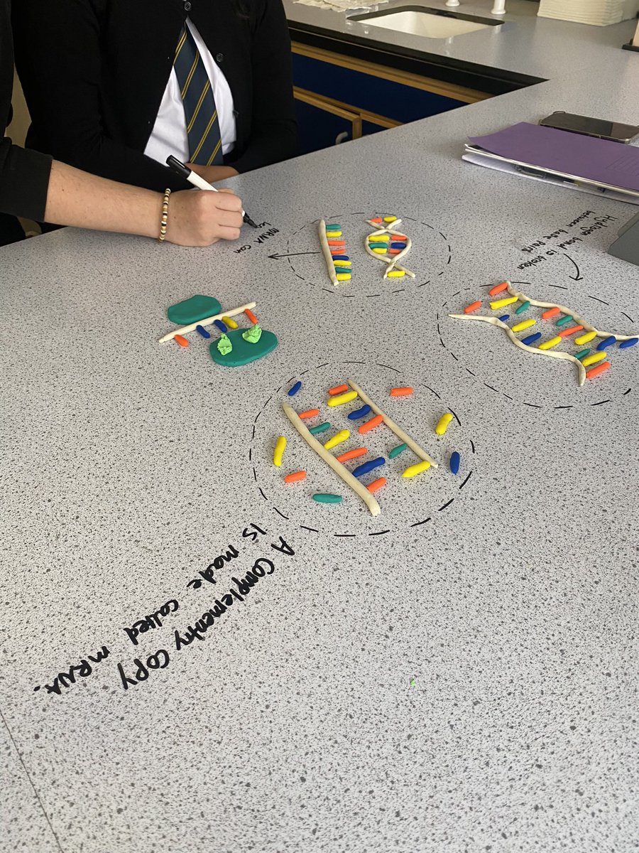 Mr Fraser tweet media