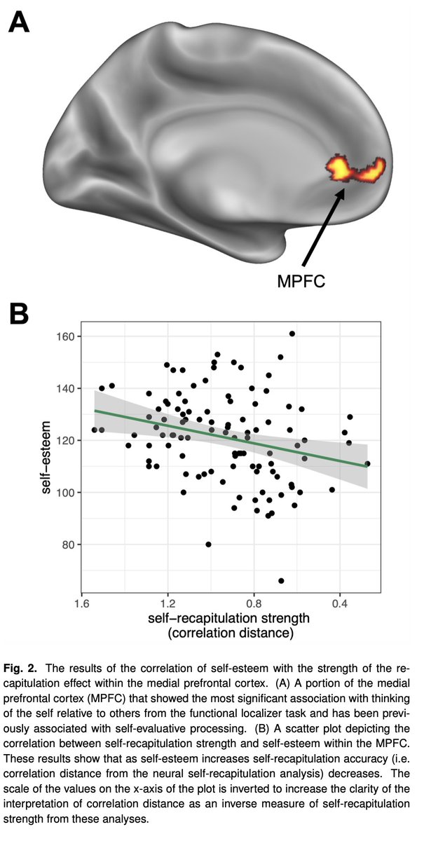Rob Chavez tweet media