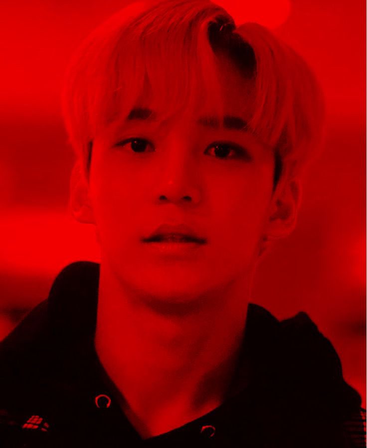 _starlightwolf's tweet image. ❤️🖤