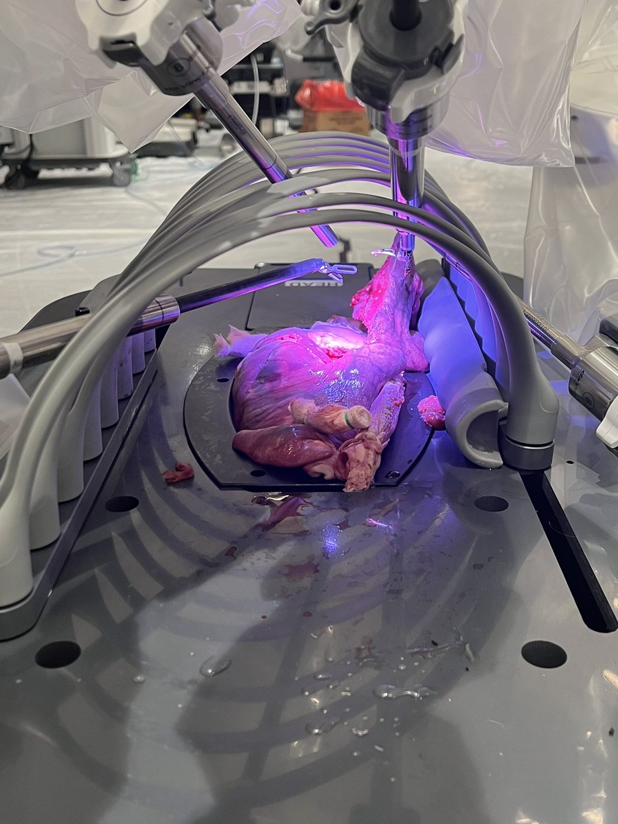 Gregory Jones tweet media