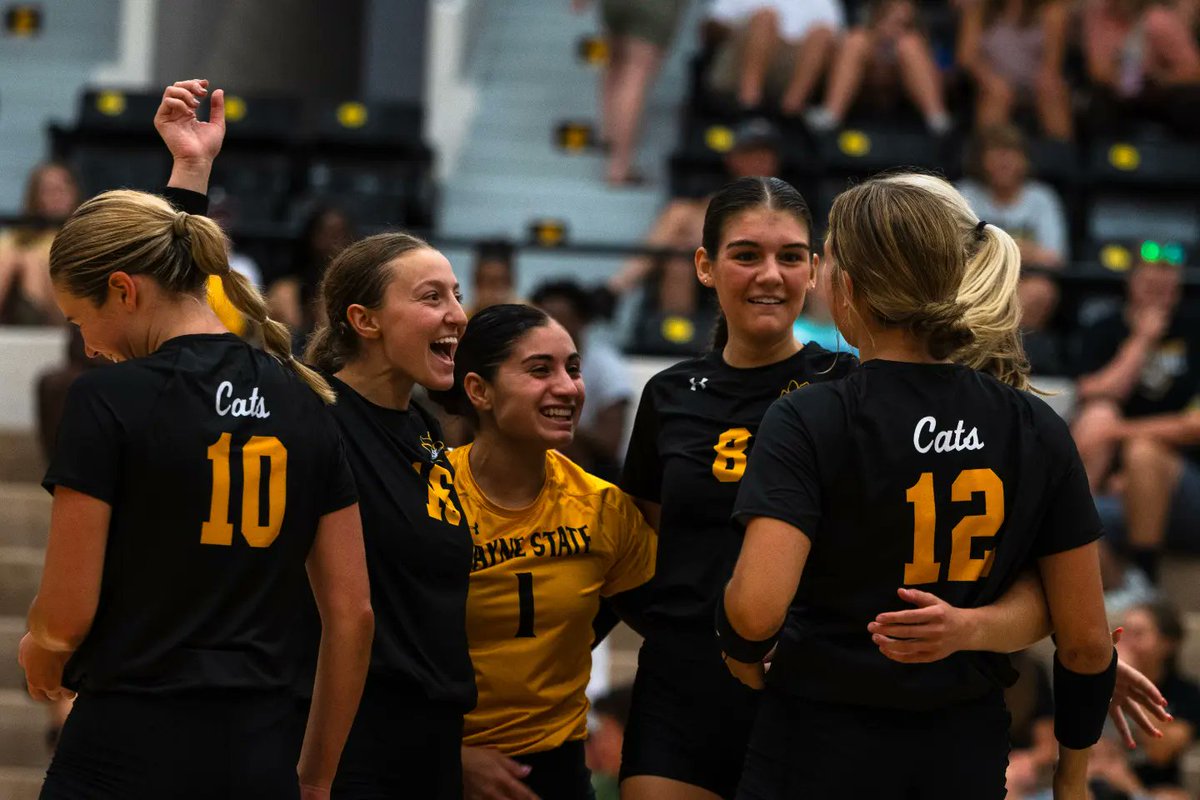 WSC Wildcat Volleyball tweet media