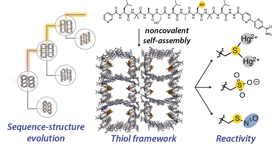 Andy I. Nguyen (@andy_i_nguyen) on Twitter photo Excited to share our paper in <a href="/J_A_C_S/">J. Am. Chem. Soc.</a> today showing how peptide assembly enables engineering of single-crystalline frameworks bearing reactive thiol groups!
pubs.acs.org/doi/10.1021/ja… Excited to share our paper in <a href="/J_A_C_S/">J. Am. Chem. Soc.</a> today showing how peptide assembly enables engineering of single-crystalline frameworks bearing reactive thiol groups!
pubs.acs.org/doi/10.1021/ja…