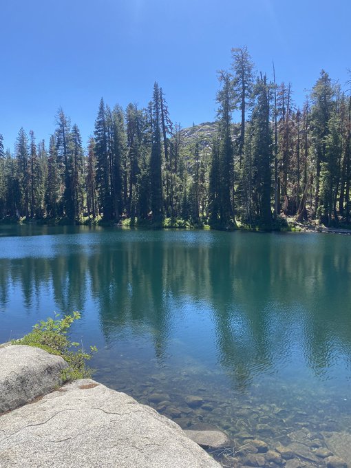 Went backpacking, took shrooms, had some good sex, and now I&rsquo;m sunburnt and covered in bug bites. Very