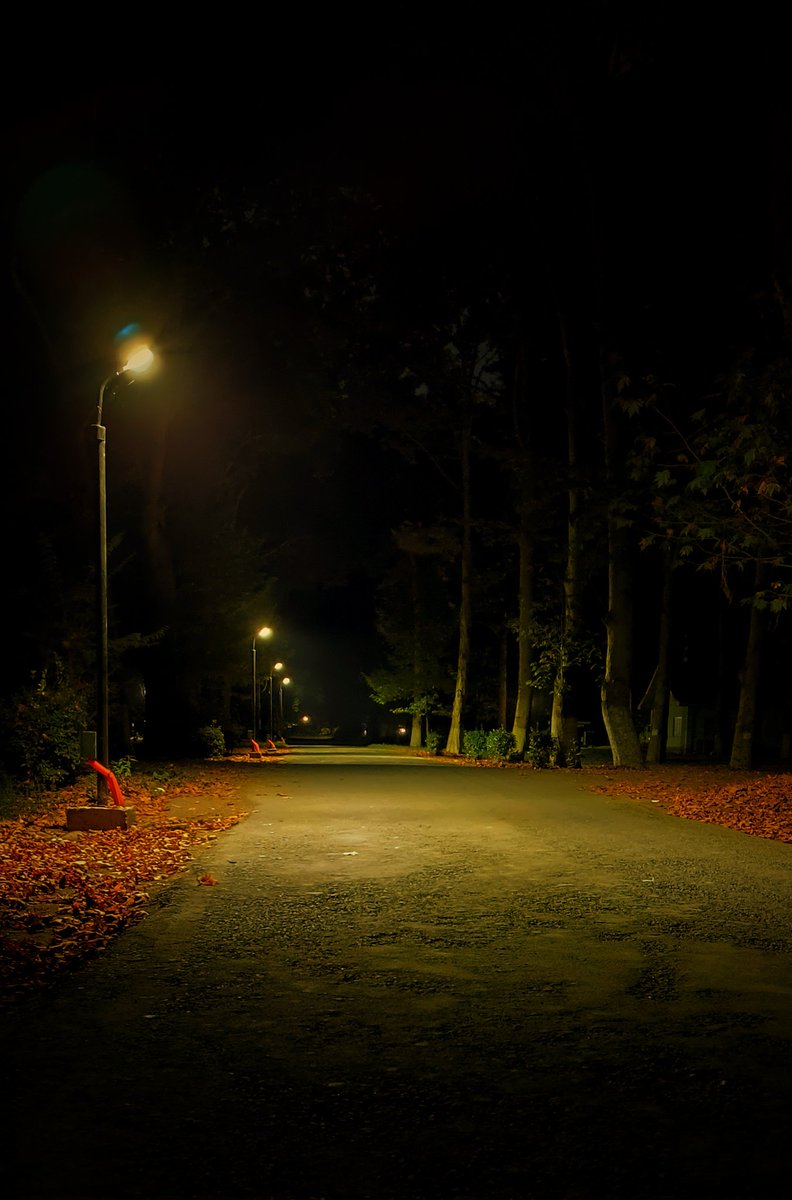 Night walks alone are just beautiful...🖤