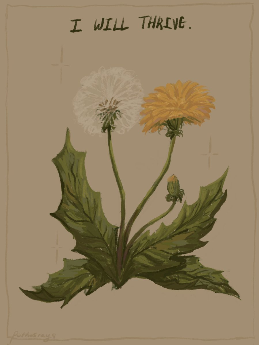 pothosrays's tweet photo. dandelions are cool https://t.co/PPEFC8Dlq3