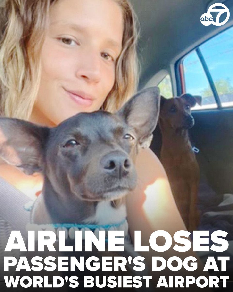 ABC7 Eyewitness News tweet media