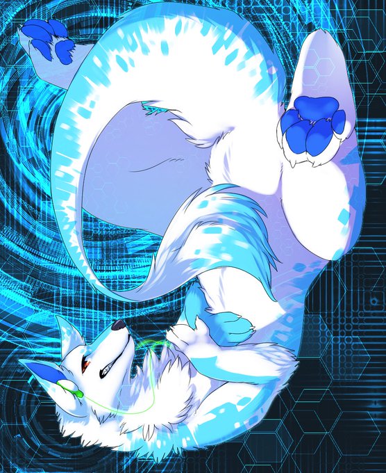 2015⇒2016⇒2017⇒2018 