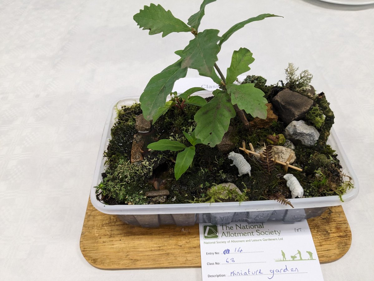 BarbaraHA's tweet photo. Fabulous entries and great catering at the Allotment show https://t.co/vp8SVTb5MD