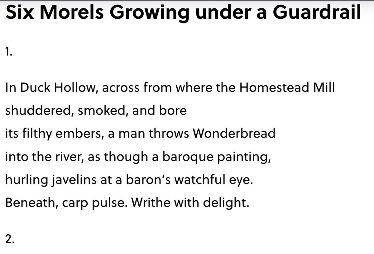 Look close! It's . . . missourireview.com/six-morels-gro… I'm especially indebted to @bengucciardi for invaluable feedback on this piece as it evolved. Thank you. @Missouri_Review #WritingCommunity #morels #mushroom #duckhollow