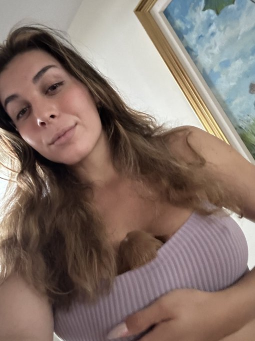 Perfect puppy holders https://t.co/pzPAYHPKeX