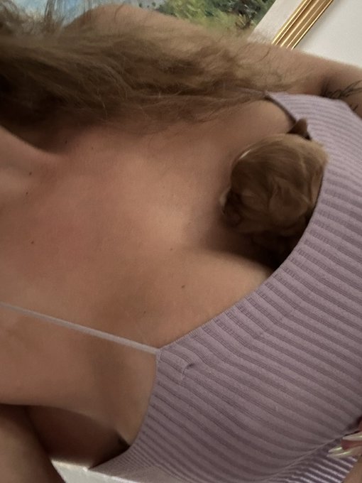 Perfect puppy holders https://t.co/pzPAYHPKeX