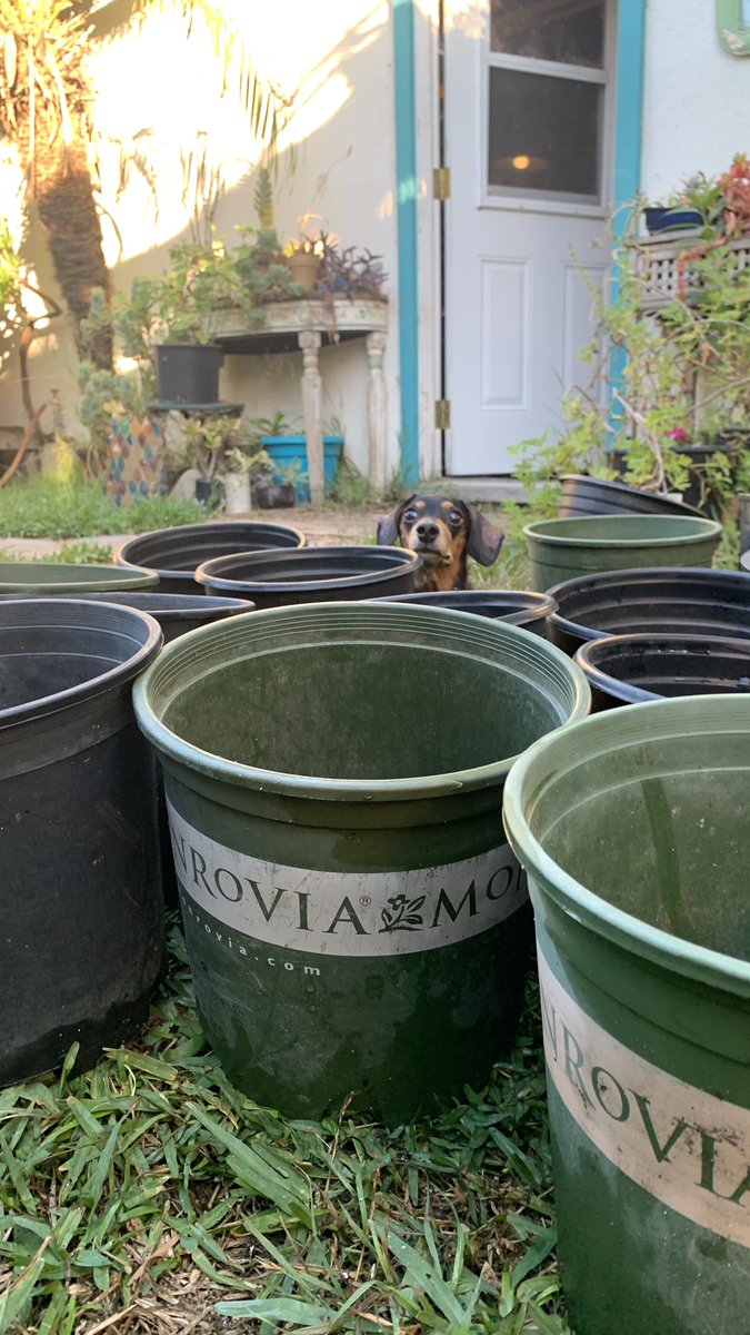 aminal420's tweet image. I always feel weird in August. 

1. Lady lost on transplant day
2. Style 7 (where I got all my Pro Club and AAA shirts from) closed forever
3. Did some letters and got down with a new crew (video courtesy of my homies IG story)
4. Nathan Harris and Mario Ayala