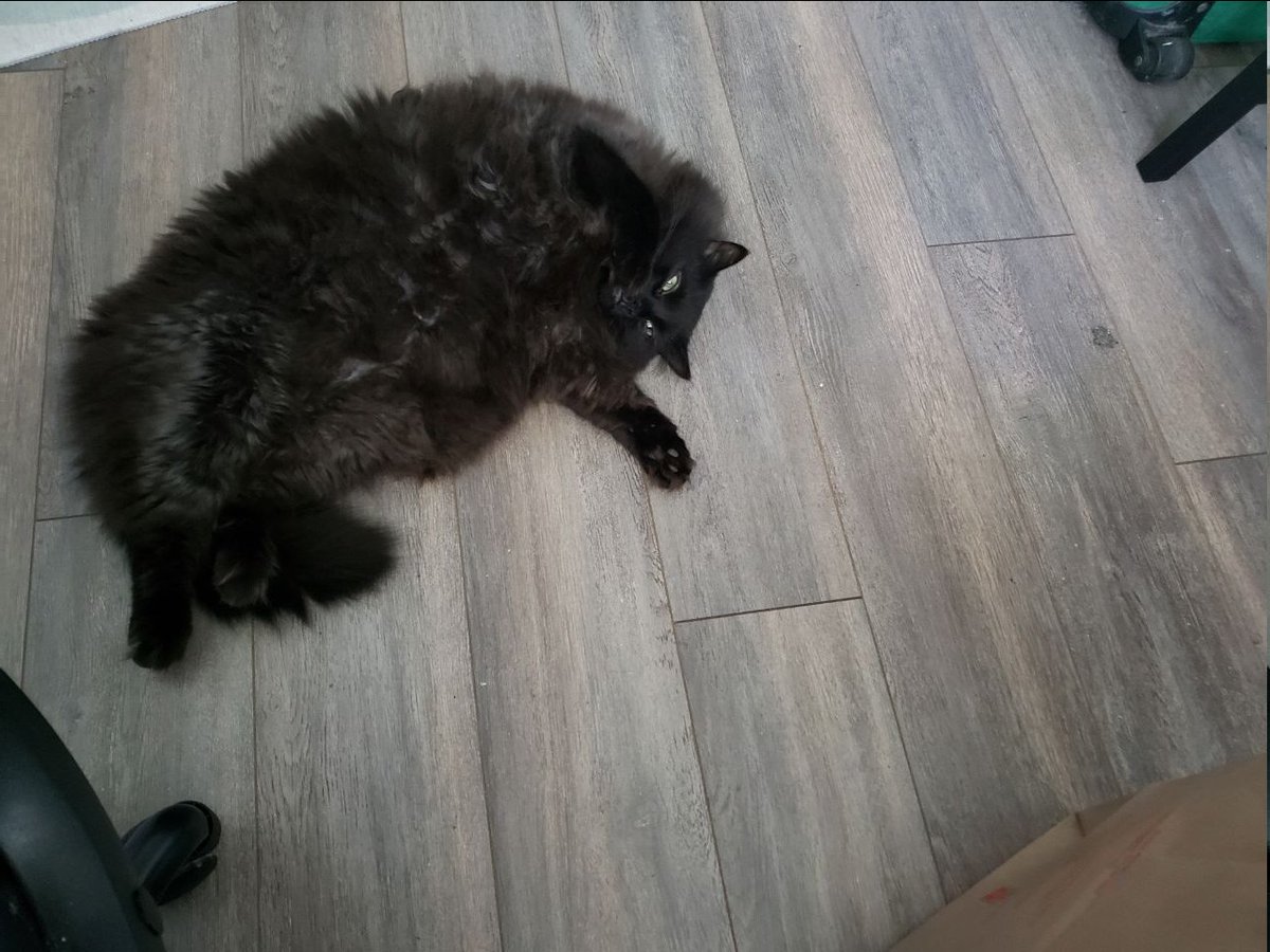 I spilled Albert and now there's just a void puddle on the floor smh