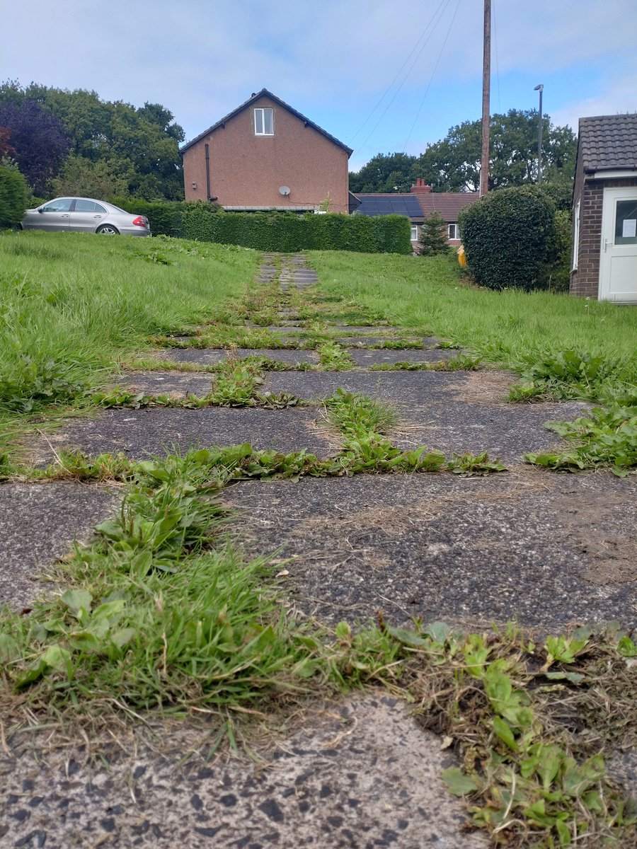 mrssharonwood's tweet photo. @HighPeakBC Been to see my mother in law in Whaleybridge today. She turns 90 in a few weeks and tries to keep as active as she can..this is the only access to and from her home..A trip hazard &amp; accident waiting to happen. The grass is cut..any chance of dealing with this danger? https://t.co/gQr374semL