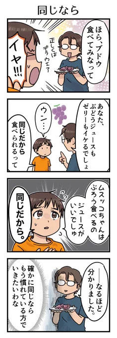 「同じ」を持ち出したのはカーチャンです。そら、同じならこれでいいだろってなりますよね、普通にね。
うん。はい。間違えました。勧め方間違えました。

#漫画が読めるハッシュタグ #4コマ漫画 #コミックエッセイ #育児漫画 #5歳 