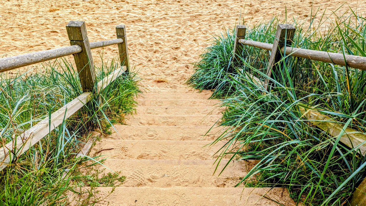 ElsaH91's tweet photo. The best kind of steps!
#sandysteps #beachsteps https://t.co/rnpNutu4zz