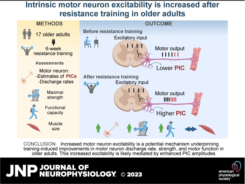 JNeurophysiol's tweet photo. #FreeArticleOfTheWeek 
🔓This study investigated the effects of high-intensity resistance training on estimates of the #MotorNeuron #PersistentInwardCurrent (PIC) in older adults.

https://t.co/4pnI5XO7Ac
@elborgo9 @ProfPatrickRod @orssattolucas @gabrielstrajano #StrengthTraining https://t.co/Owi4o5rzsr