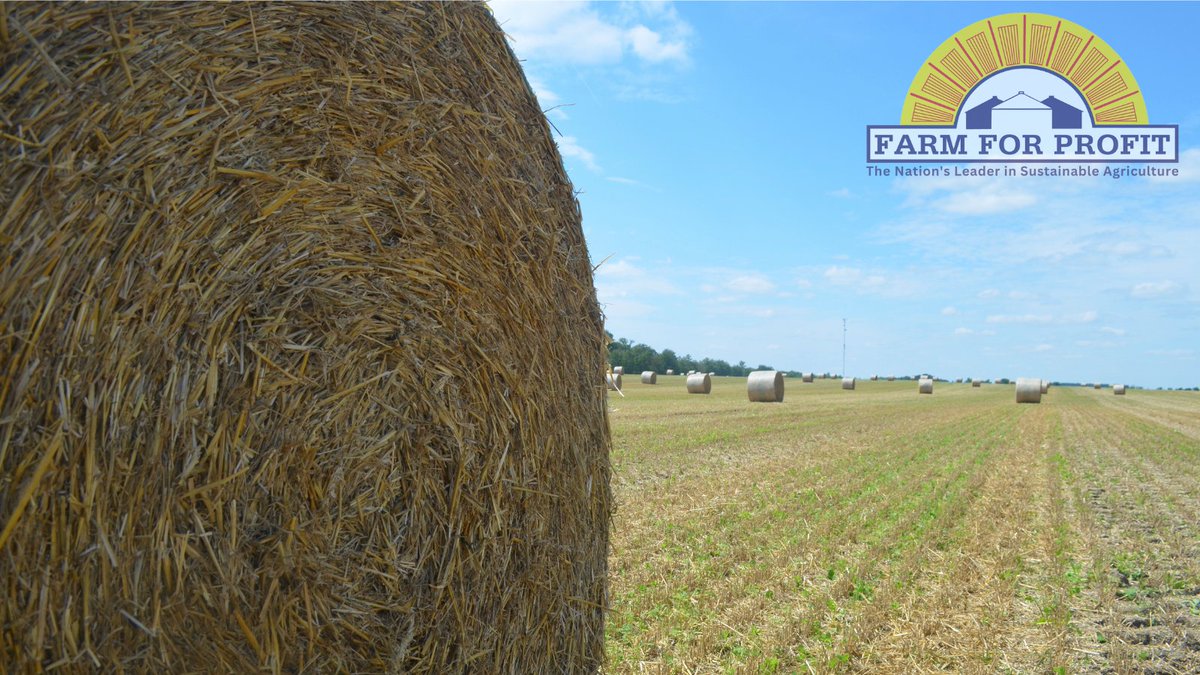 FarmForProfitCA's tweet photo. From the fields to the barn, we're on a roll! #HayThere #HarvestTime #farmlife #hayday #farmforprofit #canadianfarm #agriculture https://t.co/ZEarw8Ierj