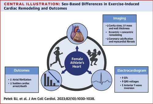 🔴 Impact of Sex on Cardiovascular Adaptations to Exercise @JACCJournals #CardioEd #Cardiology #Cardiotwitter