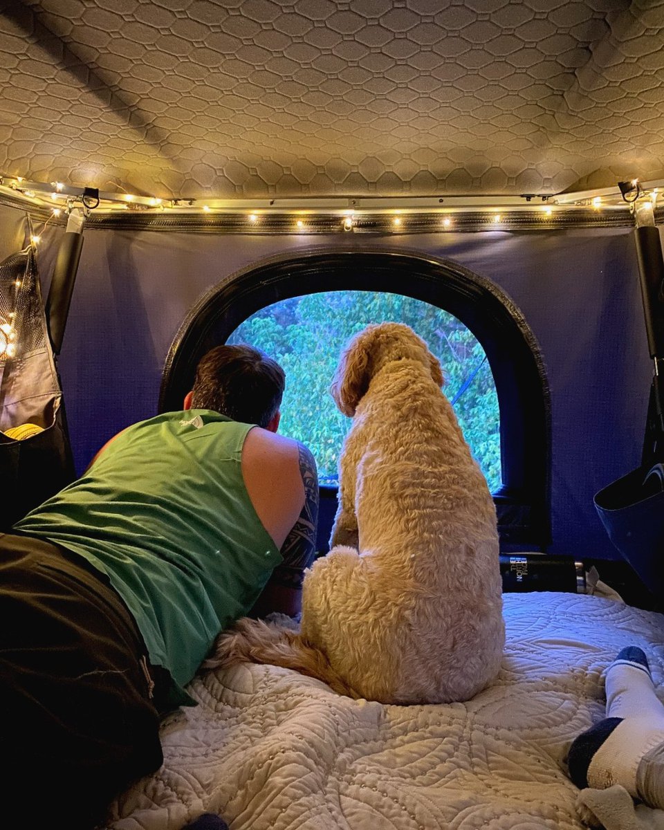 TentBoxOfficial's tweet photo. Exploring the world, one tail-wagging adventure at a time πΎ
πΈ @Benellaoutdoors
#TentBox #TentBoxClassic #tentboxcommunity https://t.co/opDvVNibVE
