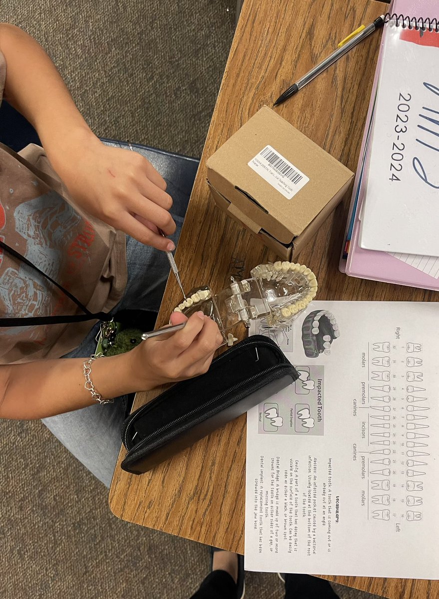 gschex_CTE's tweet photo. Exploring the dental industry one tooth at a time utilizing realistic dental models &amp; tools 🦷🪥🥼 #HumbleCTE

@HumbleISD_AMS 
@HumbleISD_CTE 
@HumbleISD https://t.co/X2d2NEwO3W