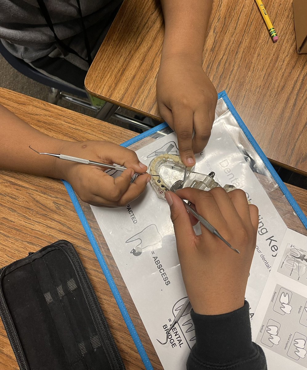 gschex_CTE's tweet photo. Exploring the dental industry one tooth at a time utilizing realistic dental models &amp; tools 🦷🪥🥼 #HumbleCTE

@HumbleISD_AMS 
@HumbleISD_CTE 
@HumbleISD https://t.co/X2d2NEwO3W