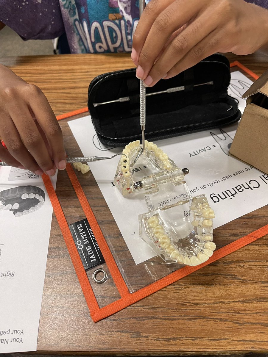 gschex_CTE's tweet photo. Exploring the dental industry one tooth at a time utilizing realistic dental models &amp; tools 🦷🪥🥼 #HumbleCTE

@HumbleISD_AMS 
@HumbleISD_CTE 
@HumbleISD https://t.co/X2d2NEwO3W